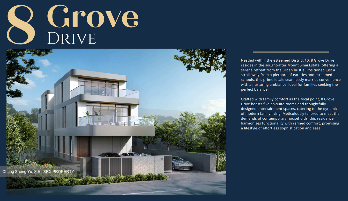 Henry Park (D10), Detached #479711991